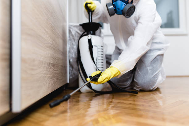 Best Pest Inspection Near Me  in East Merrimack, NH