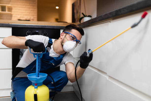 Best Cockroach Control Services  in East Merrimack, NH