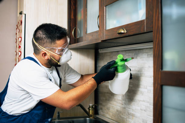 Best Pest Removal Services  in East Merrimack, NH