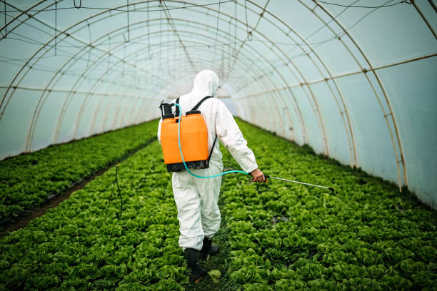Best Best Pest Control Companies  in East Merrimack, NH