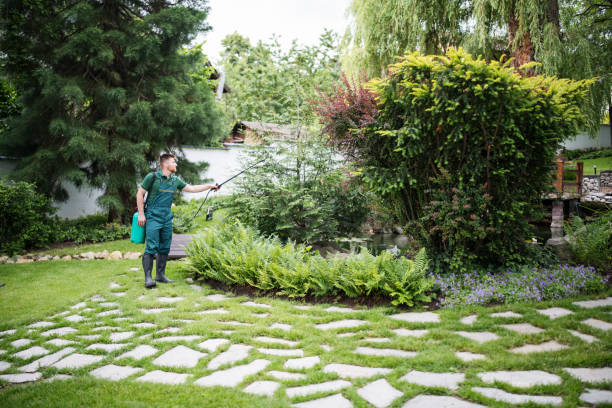 Best Commercial Pest Control Services  in East Merrimack, NH