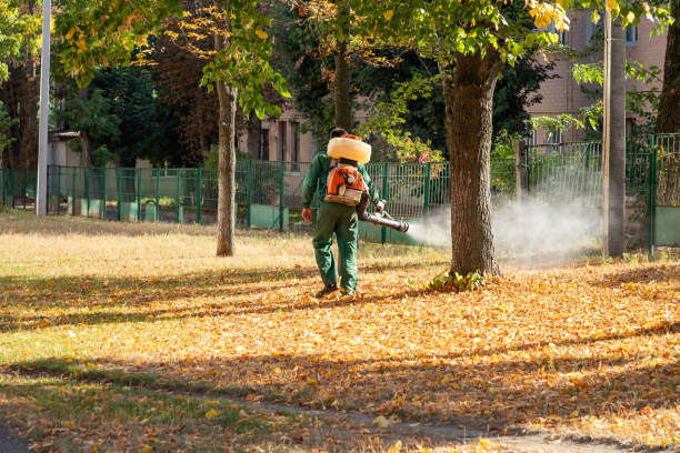 Best Emergency Pest Control  in East Merrimack, NH