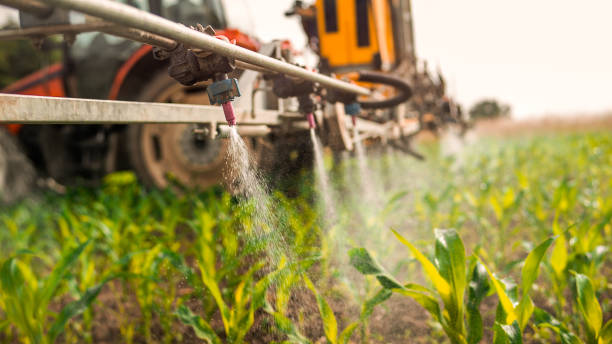 Professional Pest Control in East Merrimack, NH