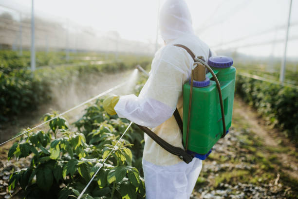 Best Exterminator Services  in East Merrimack, NH